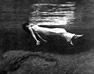 joy division